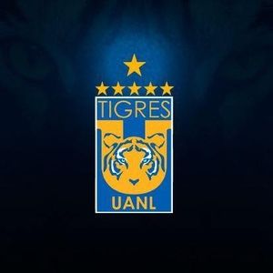 Meet your Posher, Israel